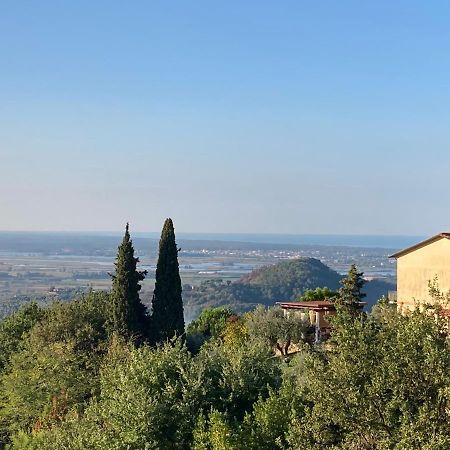 La Casina Delle Rondini Guest House Corsanico-Bargecchia Eksteriør bilde