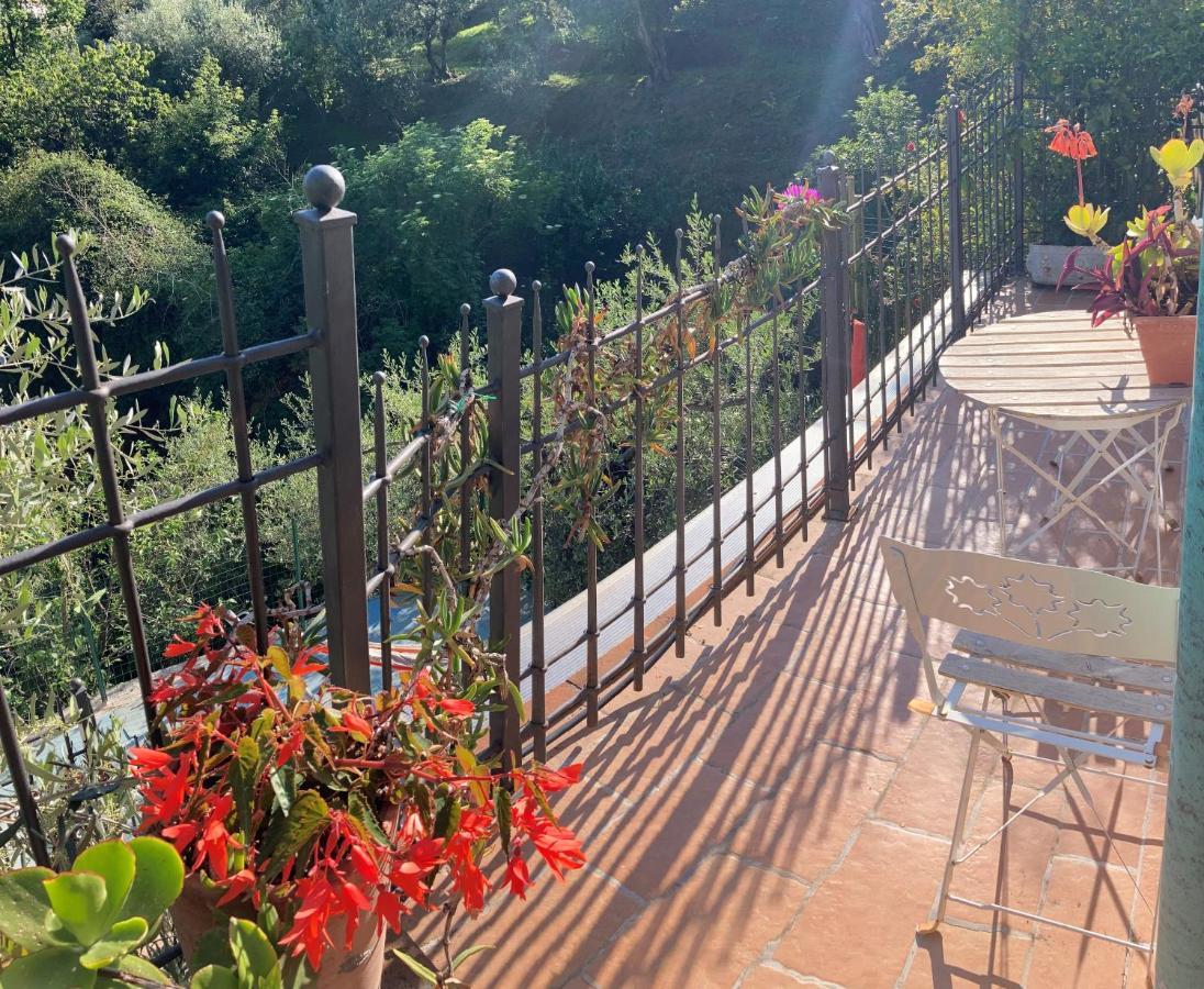 La Casina Delle Rondini Guest House Corsanico-Bargecchia Eksteriør bilde