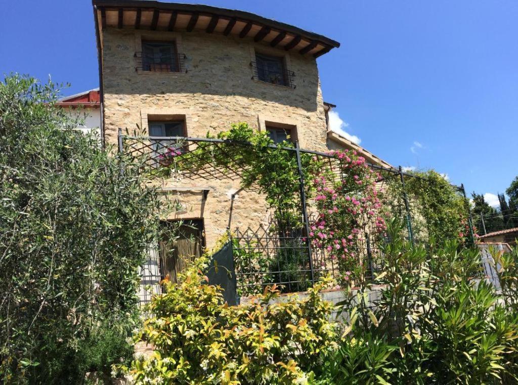 La Casina Delle Rondini Guest House Corsanico-Bargecchia Eksteriør bilde