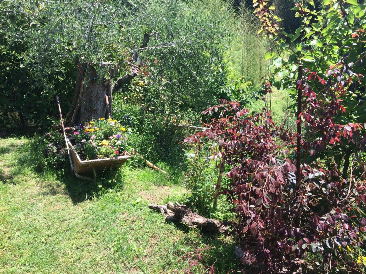 La Casina Delle Rondini Guest House Corsanico-Bargecchia Eksteriør bilde
